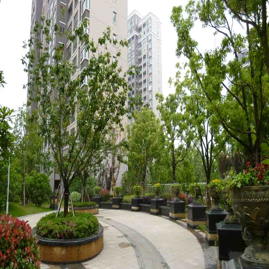住宅绿化
