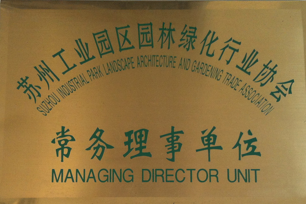 会员协会常务理事单位