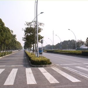 苏州工业园区苏胜路绿化养护工程