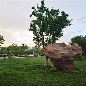 拜城环城路水系景观改造工程
